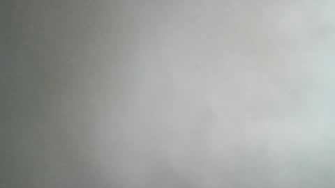 adi2019 online show from January 8, 2025, 11:54 am