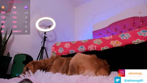 adrianny online show from September 18, 2025, 1:18 am