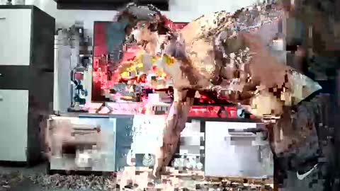 Snapshot of adrianohunt chatting on December 28, 2024, 8:58 am Adriano online show from December 28, 2024, 8:58 am