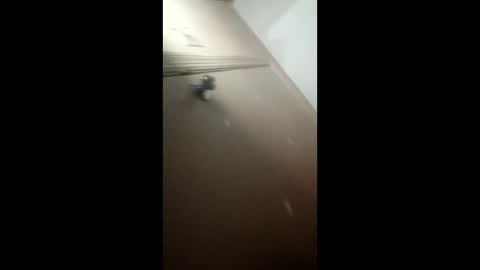 afnuke000 online show from March 4, 2026, 9:15 am