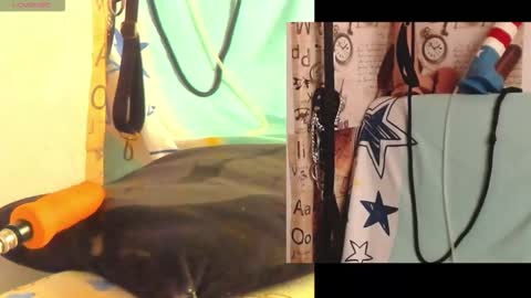 afroditacute16 online show from February 27, 2026, 1:55 pm