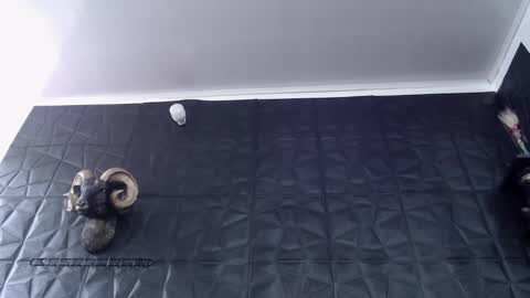  Miss Agata  online show from February 24, 2026, 6:28 pm