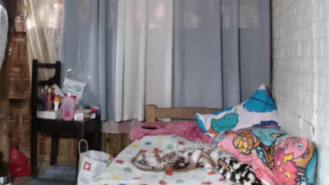 Markii online show from December 31, 2024, 3:45 am