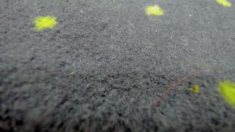 Aisha online show from March 21, 2026, 8:19 am