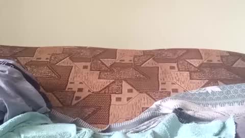 alaxcee online show from December 3, 2024, 11:11 am