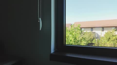 Alecssalove online show from September 16, 2025, 12:28 pm