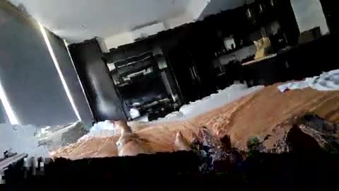 alenart online show from February 2, 2025, 7:46 pm