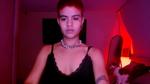 Alex online show from July 14, 2026, 12:57 am