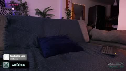 Snapshot of alex_wolf__ chatting on January 16, 2025, 2:41 am Alex Wolf online show from January 16, 2025, 2:41 am