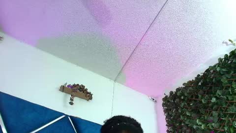 Alexa online show from April 9, 2026, 2:22 am