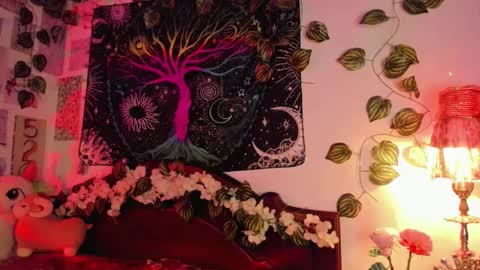 Alex online show from January 31, 2025, 3:09 am