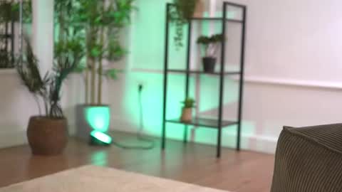 alexxiskye online show from February 8, 2026, 8:07 am