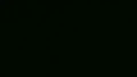 alf1307545 online show from February 24, 2025, 6:15 pm