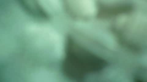 Snapshot of ali_asianguyuk chatting on December 1, 2025, 1:32 am ali_asianguyuk online show from December 1, 2025, 1:32 am