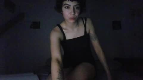 Snapshot of alice_fairy_ chatting on July 23, 2026, 8:01 am alice_fairy_ online show from July 23, 2026, 8:01 am