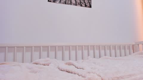 Alichery online show from January 25, 2025, 6:55 am