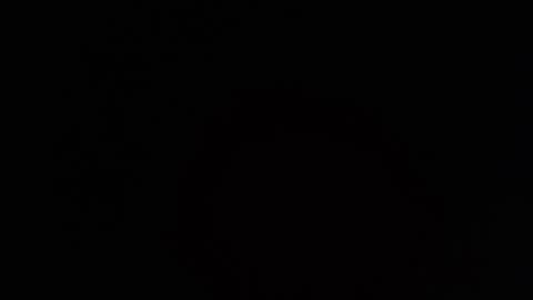     online show from March 26, 2026, 7:41 pm