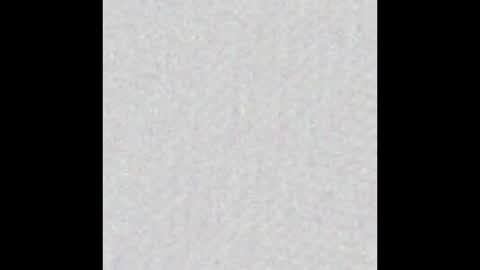 Alisse online show from January 13, 2026, 11:59 am