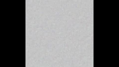 Alisse online show from February 3, 2026, 12:10 pm