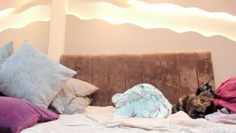 Snapshot of alisson_am chatting on April 1, 2026, 1:41 pm Alisson online show from April 1, 2026, 1:41 pm