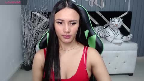 Snapshot of allisson_a chatting on December 21, 2024, 3:47 am Allisson online show from December 21, 2024, 3:47 am