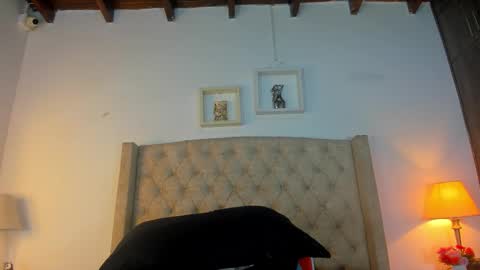 allisson online show from February 26, 2026, 12:04 pm