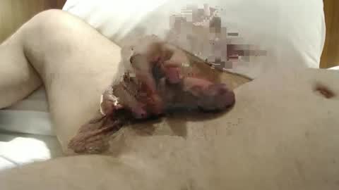 Frank online show from January 29, 2025, 10:22 pm