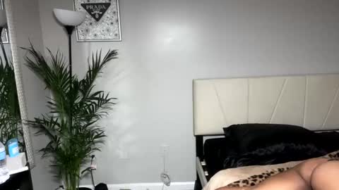 Snapshot of alongcamelexy chatting on October 9, 2025, 4:43 am alongcamelexy online show from October 9, 2025, 4:43 am