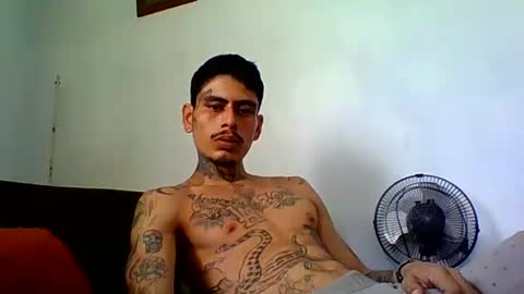 Snapshot of alpha_zom chatting on April 24, 2026, 9:06 pm Alpha Zom online show from April 24, 2026, 9:06 pm