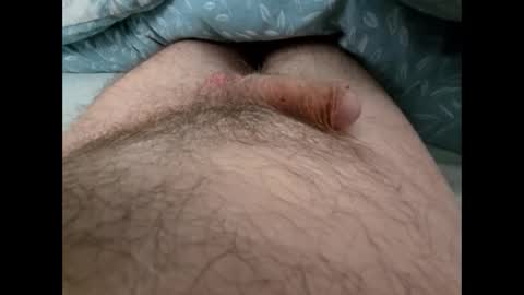 Snapshot of altirando3 chatting on September 24, 2025, 12:41 pm gordy2263 online show from September 24, 2025, 12:41 pm