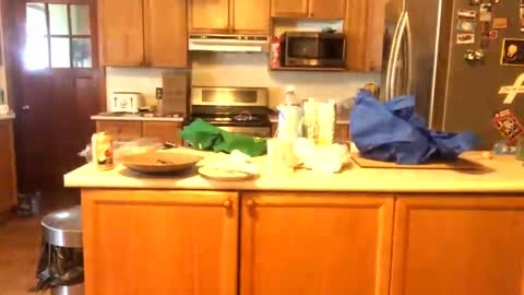 Snapshot of alvie_bones chatting on January 26, 2025, 3:03 pm Alvie online show from January 26, 2025, 3:03 pm