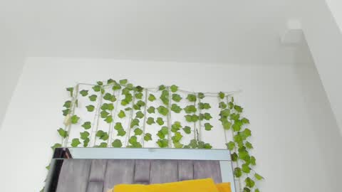 alyssia online show from September 10, 2025, 2:06 pm