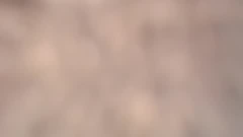 valentia online show from March 6, 2026, 2:24 pm