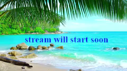 Amalia online show from January 21, 2025, 12:50 pm