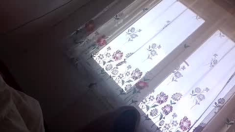 Petruss s Csabesztoo online show from April 19, 2026, 12:48 pm