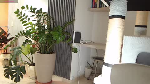 Ambar online show from January 22, 2025, 4:02 am