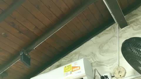 Snapshot of amy_greenee chatting on March 1, 2026, 11:34 am amy_greenee online show from March 1, 2026, 11:34 am