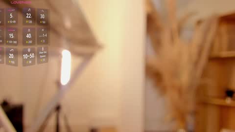     online show from January 18, 2025, 11:22 pm