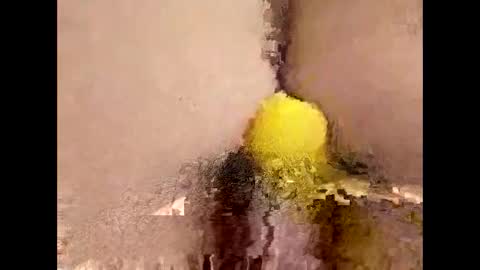 You can call me Amy Ray or Maggie May online show from April 16, 2026, 9:15 pm