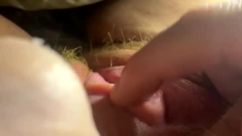 Snapshot of anastasiagirly chatting on February 26, 2026, 2:54 am anastasia online show from February 26, 2026, 2:54 am