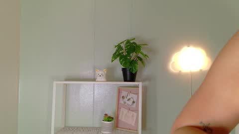 Kendra  online show from February 6, 2026, 9:34 am