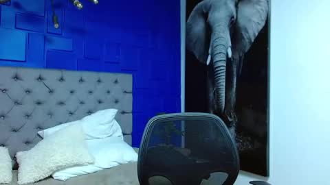 Snapshot of andre_parker chatting on March 1, 2025, 10:42 pm Andre Parker online show from March 1, 2025, 10:42 pm