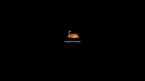 Andres online show from December 29, 2024, 10:47 pm