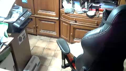 Snapshot of androgynia1 chatting on October 17, 2025, 11:57 am androgynia online show from October 17, 2025, 11:57 am