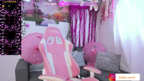 Snapshot of aneko_morii chatting on December 29, 2024, 2:21 pm online show from December 29, 2024, 2:21 pm