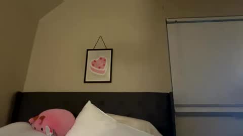 Princess Peach online show from February 23, 2025, 9:00 am