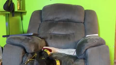 Angel online show from February 18, 2026, 2:24 pm