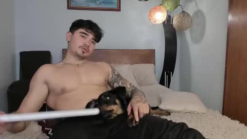 Snapshot of angelx_fox chatting on December 3, 2024, 6:17 pm Angel Fox online show from December 3, 2024, 6:17 pm