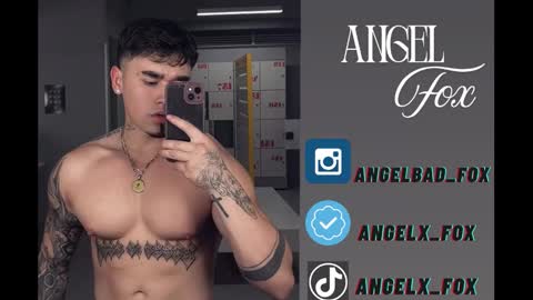 Snapshot of angelx_fox chatting on September 9, 2025, 12:26 pm Angel Fox online show from September 9, 2025, 12:26 pm