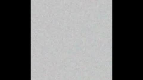 Angie y Andres online show from February 3, 2026, 12:10 pm